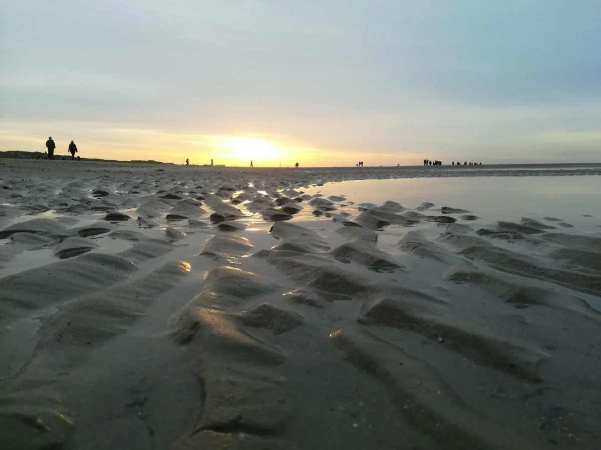 Vakantienestje Bredene Hébergement de vacances
